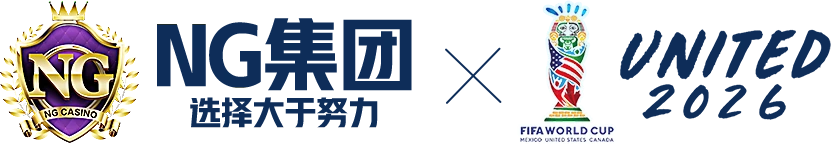 NG 集团